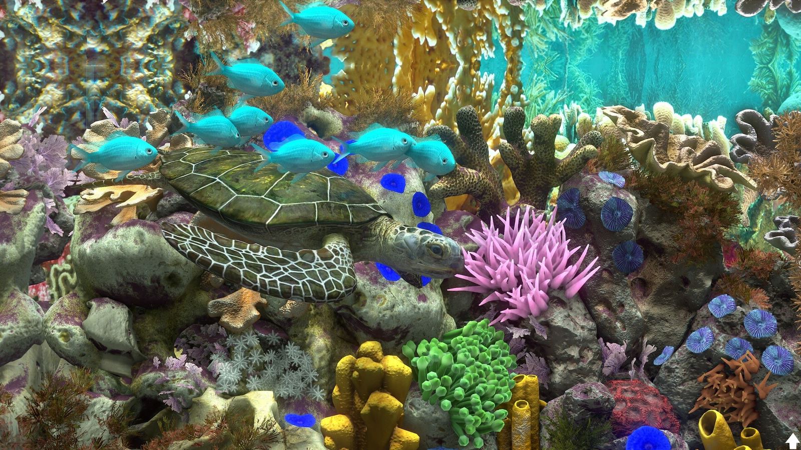 Behind Glass aquascaping