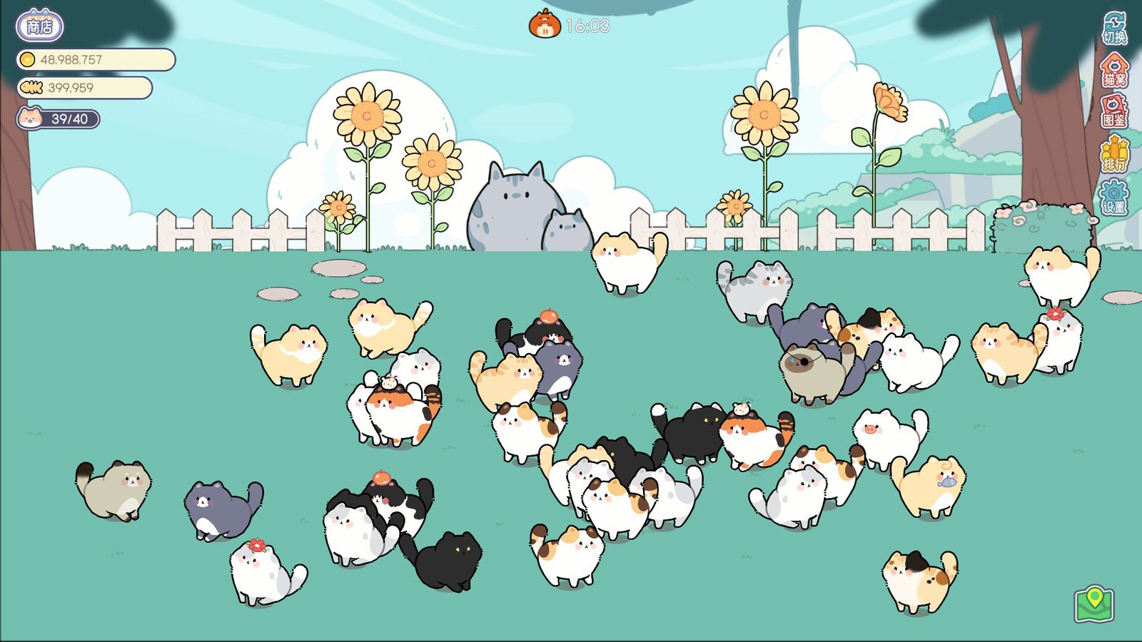 Cat And Life gameplay