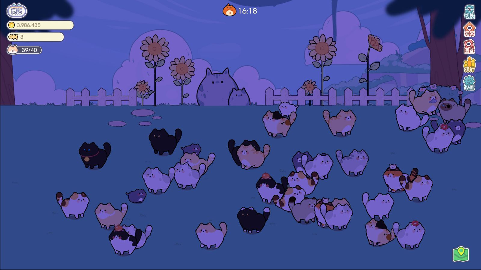 Cat And Life gameplay