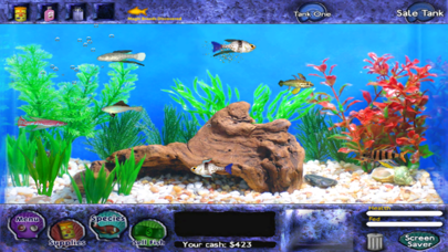 Fish Tycoon Lite gameplay: the tank