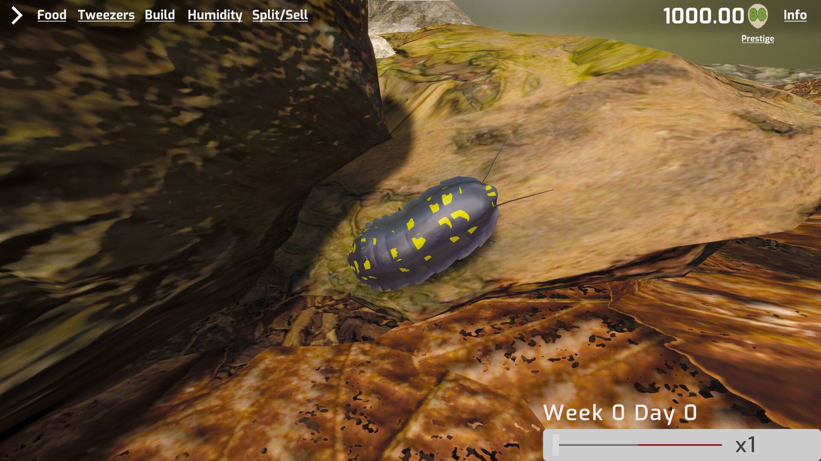 Isopod Keeping Simulator gameplay: the enclosure