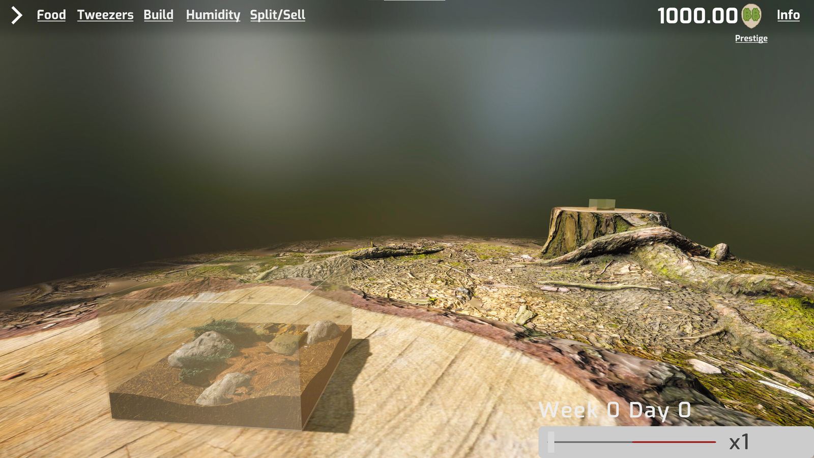 Isopod Keeping Simulator gameplay: colony management