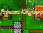 Princess Kingdom key art